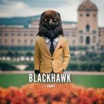 Devin Martin - @blackhawkvisuals - Instagram