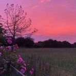 Devan Miranda - Facebook