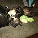 Devin Monroe - Facebook