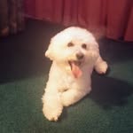Devanmoran777 - @devanmoran777 - Instagram