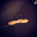 DEVAN - @devan__murphy - Instagram
