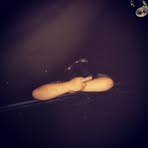 Devan Murphy - Facebook