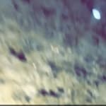 devan paulson - @_devan24_ - Instagram