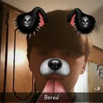 devanpeek - @devanpeek - Instagram