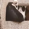 Deven Peters - @deven.peters - TikTok