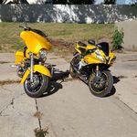 Devin Petty - @devinpetty2003 - Instagram