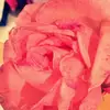 Devyn Piper - @devyoon.piper13 - TikTok