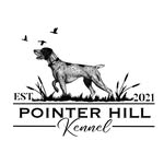 Devan- Pointer Hill Kennel - @pointerhillkennelgsps - Instagram