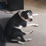 Devin Reaves - @reavesdj - Instagram