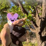 Devan Reid - @drvfxmedia - Instagram