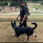 Devan Riley - @devan_riley285 - Instagram