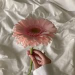 Devan	Sanders - @devansanders244 - Instagram