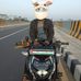 Dewan Shimul - Facebook