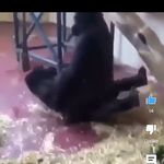 devan sharp - @metrod152 - Instagram