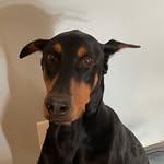 Devan stancil - @devan15259 - Instagram