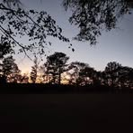 Devyn Stephens - Facebook