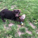 Devan Walker - @fish_slayer3000 - Instagram