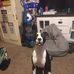 Devin Weber - Facebook