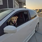 Devan Wiebe - @itsdevanw - Instagram