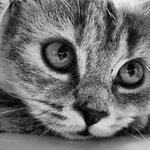 Devan Wright - @devanhwright - Instagram