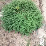 Devanand Sharma - @devanand.sharma.58760 - Instagram