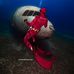 Diving Ghazali - Facebook