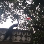 Devang Goraniya - @goraniyadevang - Instagram