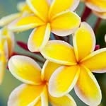 Devang Pandya - @devang9635 - Instagram