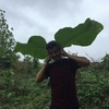 Devang Pandya - @devangpandya2 - TikTok