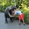 Devang Parikh821 - @devangparikh15 - TikTok