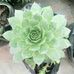 Devang sharma - Facebook