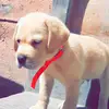 Devang Shukla - @devangshukla9700 - TikTok