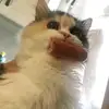 devani.patel - @devani.patel - TikTok