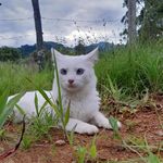 Devanir moraes - @devanir_moraes - Instagram