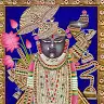 devanshi parikh - @devanshiparikh2 - TikTok