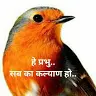 devanshi verma - @devanshivermadeva - TikTok
