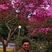 Devanshu Trivedi - Facebook