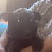 Devante Hampton - Facebook