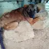 devantepalmer790 - @devantepalmer790 - TikTok
