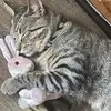 Devante Benjamin Patterson - @devante.benjamin1 - TikTok