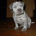 Davonte Stanfield - Facebook