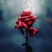 Devante Turner - Facebook