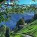 Devaraj Narayanappa - Facebook