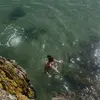 daisdyer - @daisdyer - TikTok