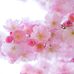 Devasena Reddy - Facebook