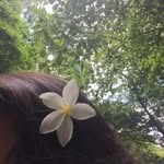 Devashree Shah - @shree_012210 - Instagram