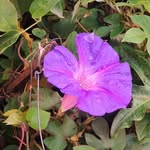 Devashree Shah - @er.devashree96 - Instagram