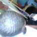 Devaughn Campbell - Facebook