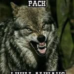 Deven Hill - @deven_hill_420 - Instagram