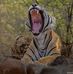 Devesh Desai - Facebook